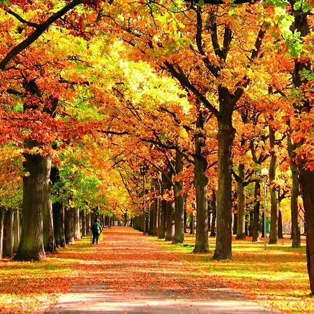 Hotel Koidulapark 2*