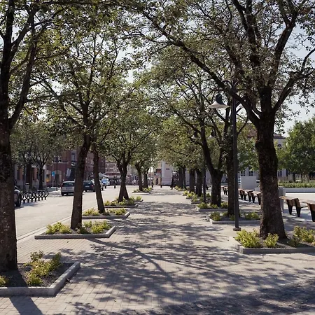 Koidulapark