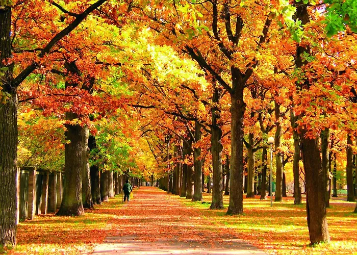 מלון Koidulapark 2*